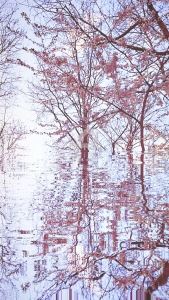 Photographie intitulée "Prunus spinosa rose…" par Kasiopea, Œuvre d'art originale, Photographie numérique