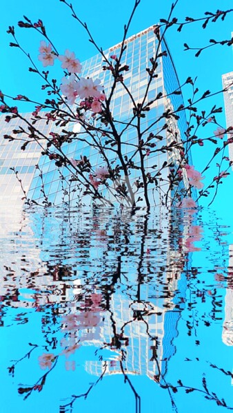 Photographie intitulée "Le reflet des fleur…" par Kasiopea, Œuvre d'art originale, Photographie numérique