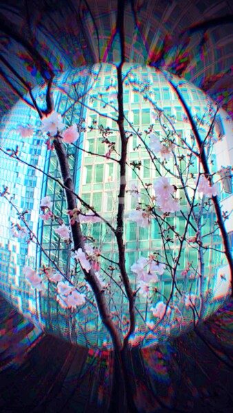 Photographie intitulée "Zoom cerisier fond…" par Kasiopea, Œuvre d'art originale, Photographie numérique