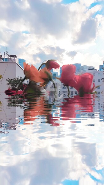 Photographie intitulée "Reflet des roses ja…" par Kasiopea, Œuvre d'art originale, Photographie numérique