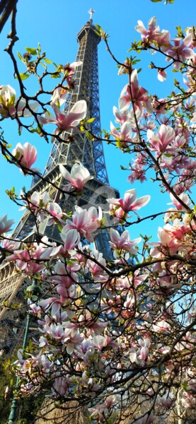 Fotografie mit dem Titel "Magnifique magnolia…" von Kasiopea, Original-Kunstwerk, Digitale Fotografie