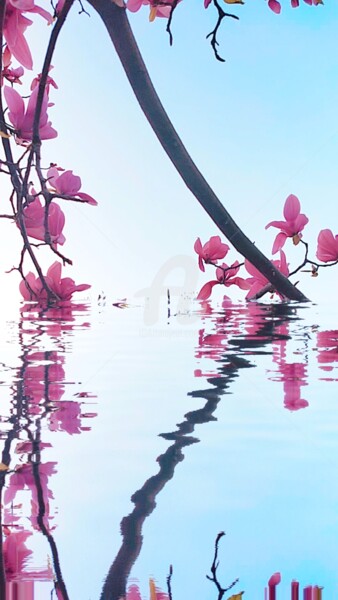 Фотография под названием "Reflet fleur et mag…" - Kasiopea, Подлинное произведение искусства, Цифровая фотография