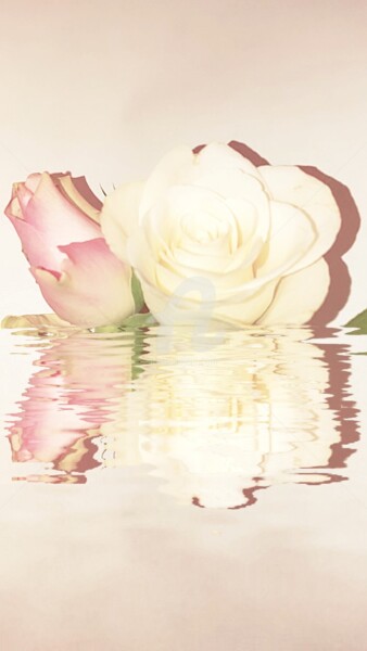 Fotografie mit dem Titel "Reflet blanc et ros…" von Kasiopea, Original-Kunstwerk, Digitale Fotografie