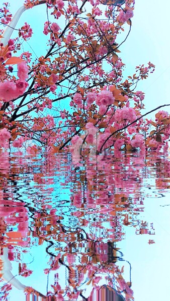 Photographie intitulée "Reflet rose cerisie…" par Kasiopea, Œuvre d'art originale, Photographie numérique