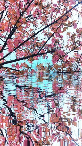 Photography titled "Reflet des cerisier…" by Kasiopea, Original Artwork, Digital Photography
