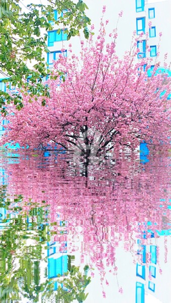 Photographie intitulée "Reflet cerisier ros…" par Kasiopea, Œuvre d'art originale, Photographie numérique