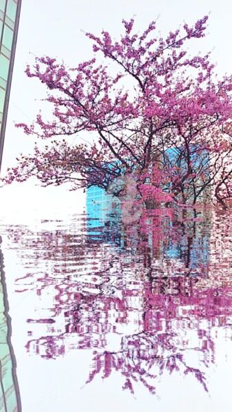 Photographie intitulée "Reflet arbre de Jud…" par Kasiopea, Œuvre d'art originale, Photographie numérique