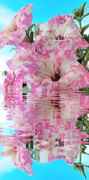 Photographie intitulée "Reflet des pétunias…" par Kasiopea, Œuvre d'art originale, Photographie numérique