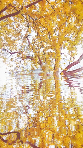 Photography titled "Reflet cassia ©" by Kasiopea, Original Artwork, Digital Photography