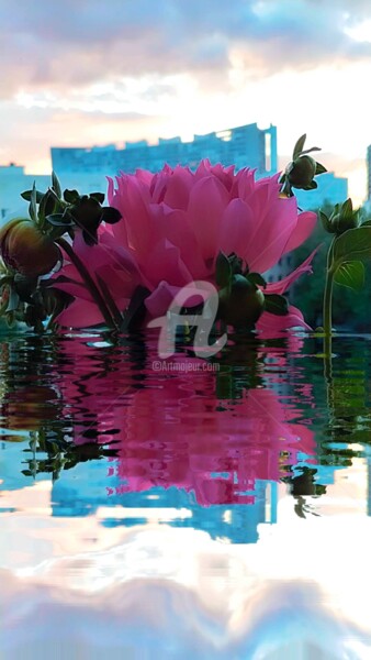 Photographie intitulée "Reflet dahlia ©" par Kasiopea, Œuvre d'art originale, Photographie numérique