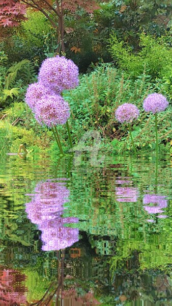 Photographie intitulée "Reflet ail des Inde…" par Kasiopea, Œuvre d'art originale, Photographie numérique