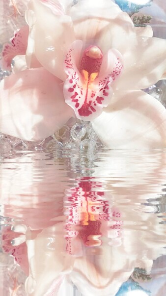 Fotografia intitolato "Reflet orchidée bla…" da Kasiopea, Opera d'arte originale, Fotografia digitale