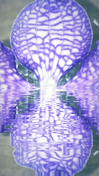 Photographie intitulée "Reflet fleur terres…" par Kasiopea, Œuvre d'art originale, Photographie numérique