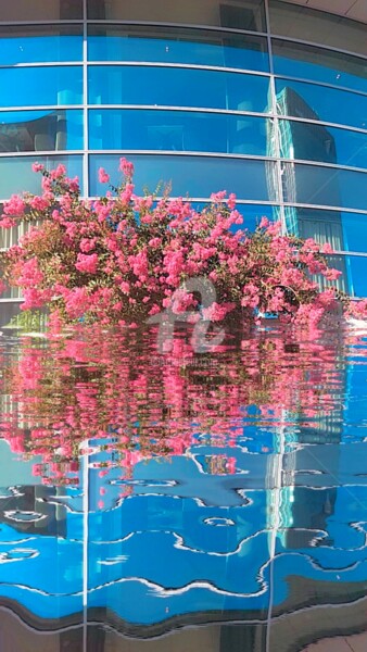 Photographie intitulée "Reflet Lilas d'été ©" par Kasiopea, Œuvre d'art originale, Photographie numérique