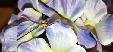 Photographie intitulée "Libellule fleur vio…" par Kasiopea, Œuvre d'art originale, Photographie numérique