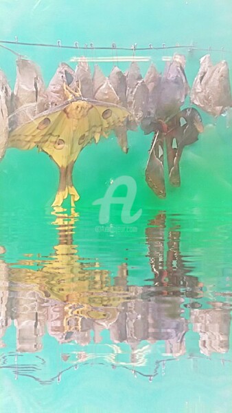 Photographie intitulée "Reflet L'argema mit…" par Kasiopea, Œuvre d'art originale, Photographie numérique