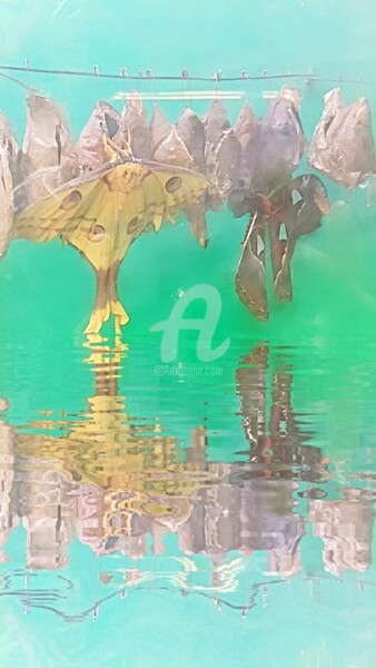 Photography titled "Reflet L'argema mit…" by Kasiopea, Original Artwork, Digital Photography