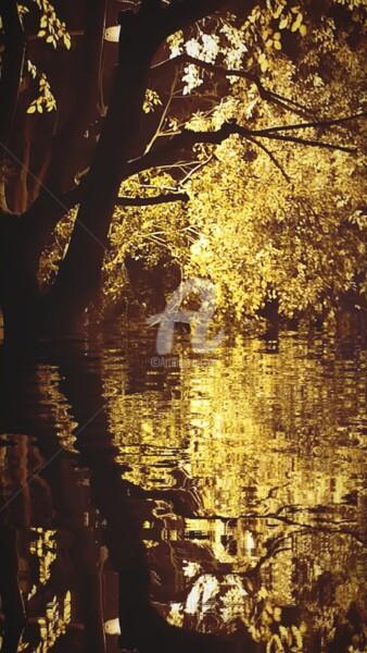 Photographie intitulée "Reflet des feuilles…" par Kasiopea, Œuvre d'art originale, Photographie numérique