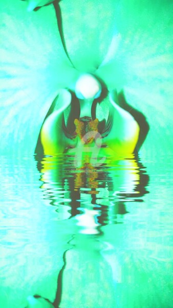 Photographie intitulée "Reflet de l'intérie…" par Kasiopea, Œuvre d'art originale, Photographie numérique