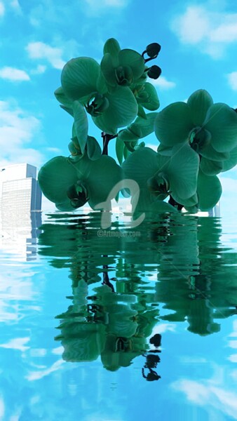 Photographie intitulée "Orchidée verte et r…" par Kasiopea, Œuvre d'art originale, Photographie numérique