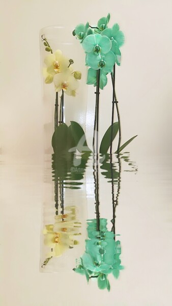 Photographie intitulée "Reflet des orchidée…" par Kasiopea, Œuvre d'art originale, Photographie numérique