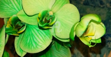 Photographie intitulée "Les fleurs vertes ©" par Kasiopea, Œuvre d'art originale, Photographie numérique