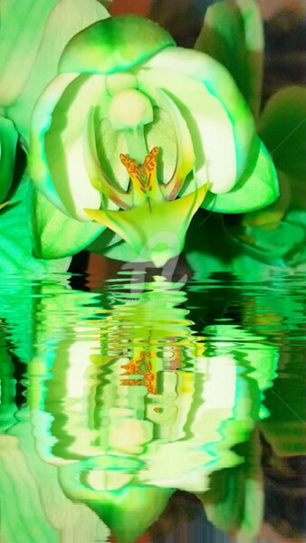 Photographie intitulée "Reflet orchidée ver…" par Kasiopea, Œuvre d'art originale, Photographie numérique