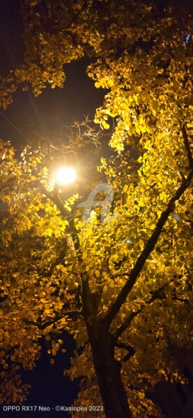 Photographie intitulée "Une nuit d'automne…" par Kasiopea, Œuvre d'art originale, Photographie numérique