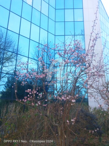 Photographie intitulée "Urbanisme et nature…" par Kasiopea, Œuvre d'art originale, Photographie numérique