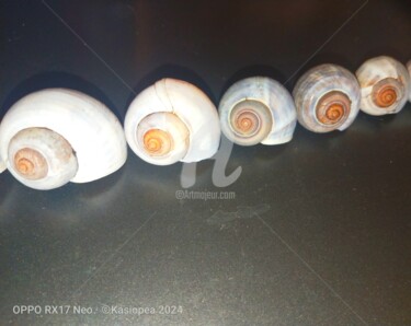 Photographie intitulée "Coquillage escargot…" par Kasiopea, Œuvre d'art originale, Photographie numérique