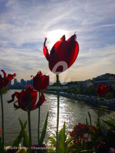 Photographie intitulée "Les tulipes rouges ©" par Kasiopea, Œuvre d'art originale, Photographie numérique