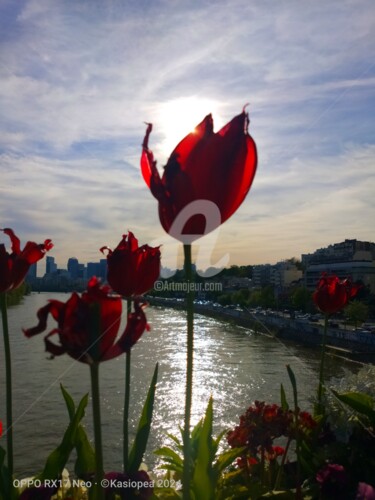 Photography titled "Les tulipes rouges ©" by Kasiopea, Original Artwork, Digital Photography