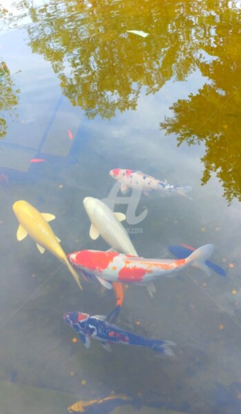 Fotografie getiteld "Le banc de poissons…" door Kasiopea, Origineel Kunstwerk, Digitale fotografie