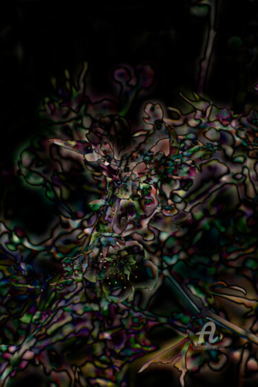 Digitale Kunst mit dem Titel "Abstrakcja przyrodn…" von Katarzyna Dziemidowicz, Original-Kunstwerk, Fotomontage