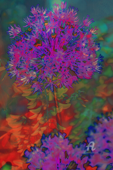 Digitale Kunst mit dem Titel "Kwiat czosnku" von Katarzyna Dziemidowicz, Original-Kunstwerk, Fotomontage