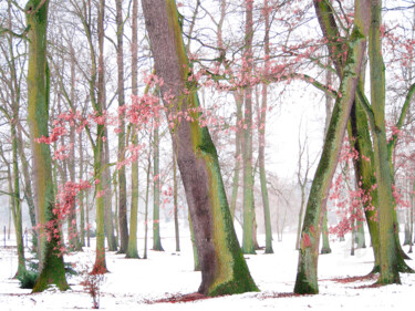 Fotografie getiteld "Drzewa w parku" door Katarzyna Dziemidowicz, Origineel Kunstwerk, Digitale fotografie