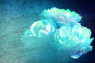 Grafika cyfrowa / sztuka generowana cyfrowo zatytułowany „Błękitne róże” autorstwa Katarzyna Dziemidowicz, Oryginalna praca,…