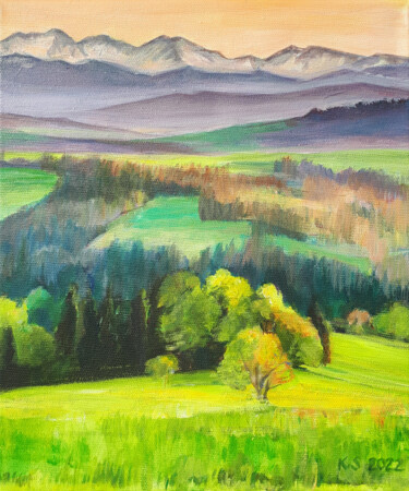 Картина под названием "Wiosna w górach Tat…" - Katarzyna Sikorsky, Подлинное произведение искусства, Акрил Установлен на Дер…
