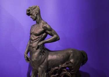 Scultura intitolato "Centaur (whole)" da Katerina Pilnikova, Opera d'arte originale, Gesso