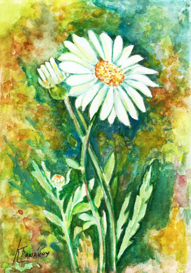 Painting titled "Α daisy in the field" by Katerina Tranakou, Original Artwork, Watercolor
