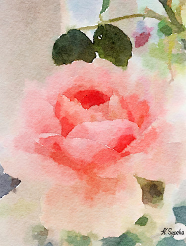Painting titled "The tale of the Rose" by Kath Sapeha, Original Artwork, Watercolor