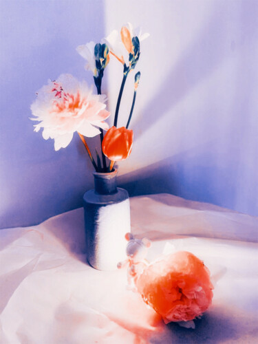 数字艺术 标题为“still life photogra…” 由Katherine Lee, 原创艺术品, 2D数字工作