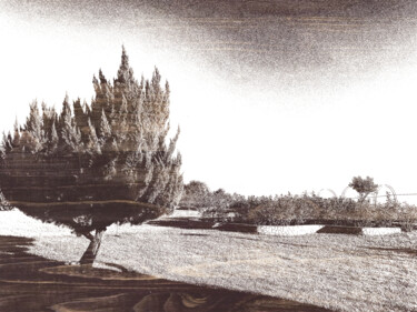Digitale Kunst mit dem Titel "the WOODEN TREE" von Katherine Lee, Original-Kunstwerk, 2D digitale Arbeit