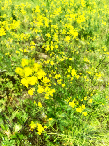 Photographie intitulée "spring flowers" par Katherine Lee, Œuvre d'art originale, Photographie numérique