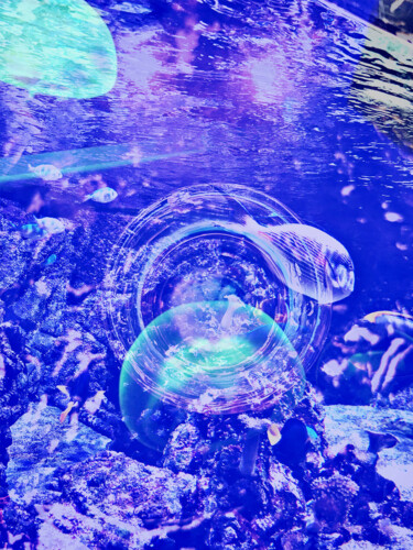 Artes digitais intitulada "Blue Jellyfish and…" por Katherine Lee, Obras de arte originais, Trabalho Digital 2D
