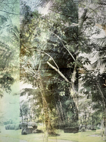Digitale Kunst mit dem Titel "the chaos forest" von Katherine Lee, Original-Kunstwerk, 2D digitale Arbeit