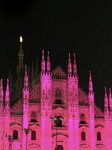 Fotografia intitolato "the pink light, Duo…" da Katherine Lee, Opera d'arte originale, Fotografia digitale