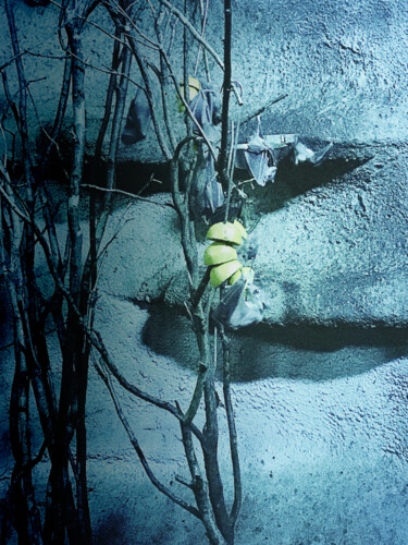 Digitale Kunst getiteld "lemons and bats" door Katherine Lee, Origineel Kunstwerk, 2D Digital Work