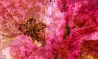 Arte digitale intitolato "Spring flowers afte…" da Katherine Lee, Opera d'arte originale, Lavoro digitale 2D