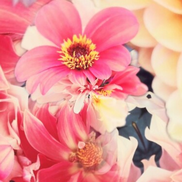Digitale Kunst getiteld "COSMOS AND FLOWERS-5" door Katherine Lee, Origineel Kunstwerk, 2D Digital Work